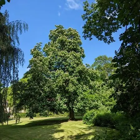 Gaestehaus Reimold Bebra Buitenkant foto